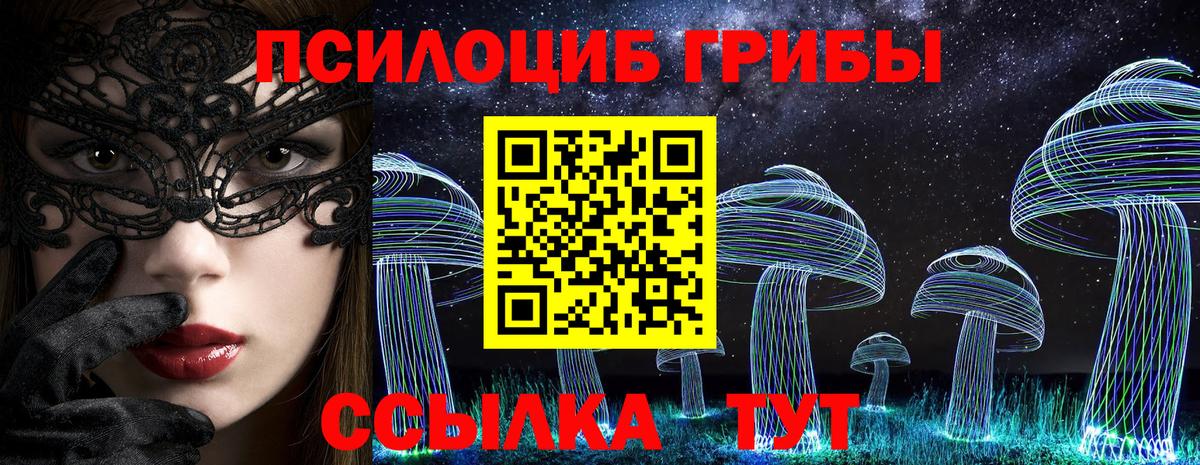 Псилоцибиновые грибы мухоморы Славянск-на-Кубани